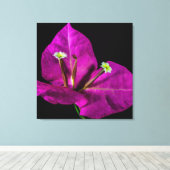 Elegant Paarse Bougainvillea Canvas Afdruk (Insitu (Houten vloer))