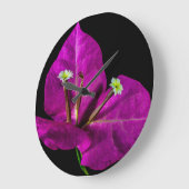 Elegant Paarse Bougainvillea Grote Klok (Hoek)