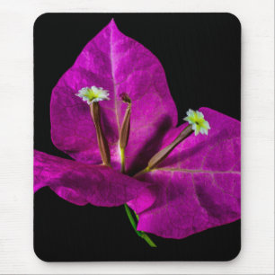 Elegant Paarse Bougainvillea Muismat