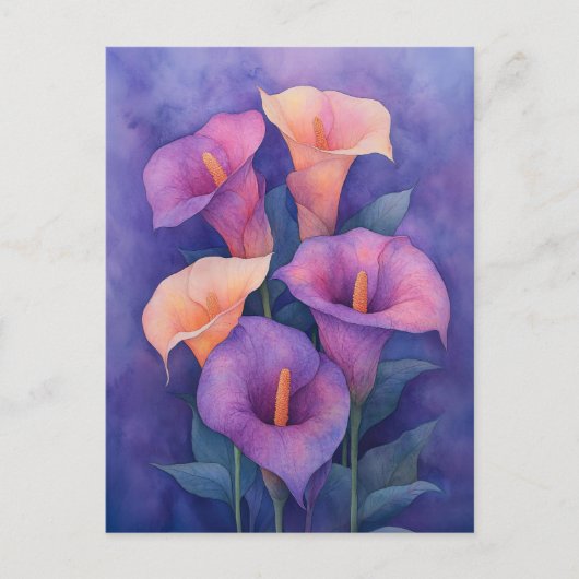 Elegant Paarse Calla Lilies Briefkaart (Voorkant)
