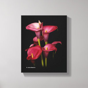 Elegant Paarse Calla Lilies Canvas Afdruk