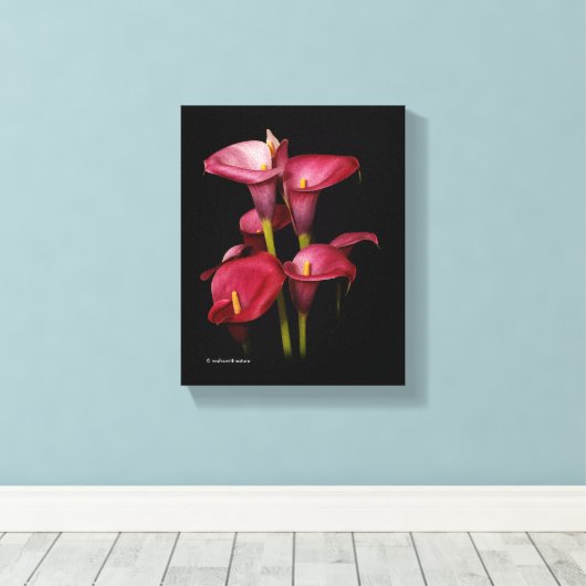 Elegant Paarse Calla Lilies Canvas Afdruk (Insitu (Houten vloer))
