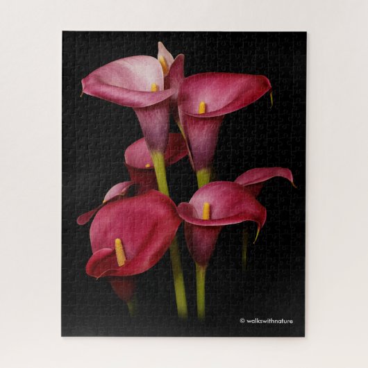 Elegant Paarse Calla Lilies Legpuzzel (Verticaal)