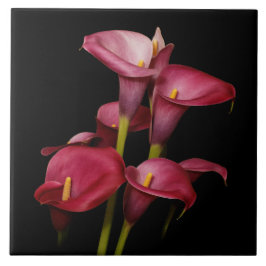 Elegant Paarse Calla Lilies Tegeltje