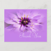 Elegant paarse dagbloem bedankt je briefkaart. briefkaart (Voorkant)