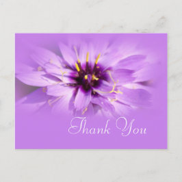 Elegant paarse dagbloem bedankt je briefkaart. briefkaart