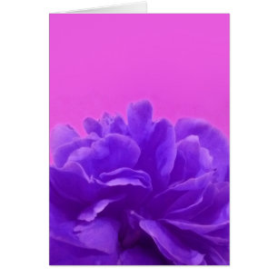 Elegant Paarse frambozen