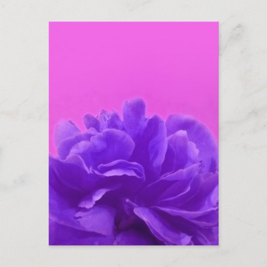 Elegant Paarse frambozen Briefkaart (Voorkant)