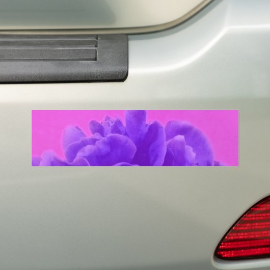 Elegant Paarse frambozen Bumpersticker (Op auto)