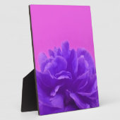 Elegant Paarse frambozen Fotoplaat (Zijkant)