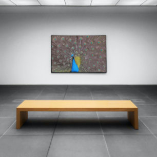 Elegant pacock in blauw met gepantserde staart poster