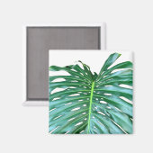 Elegant palmblad tropisch oerwoud regenwoudblad magneet (Voorkant / Achterkant)