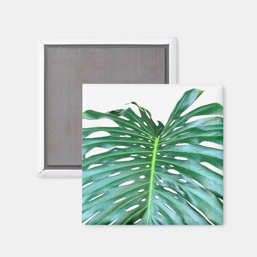 Elegant palmblad tropisch oerwoud regenwoudblad magneet (Voorkant / Achterkant)