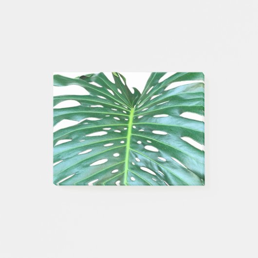 Elegant palmblad tropisch oerwoud regenwoudblad post-it® notes (Voorkant)