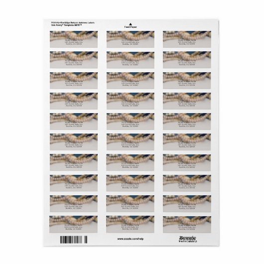 Elegant Parels & Sea Shells Beach Weddenschap Etiket (Full Sheet)