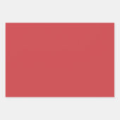 Elegant Pastel Gift Wrapping Paper  (Voorkant 2)