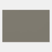 Elegant Pastel Gift Wrapping Paper  (Voorkant)