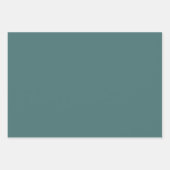 Elegant Pastel Gift Wrapping Paper  (Voorkant 3)