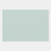 Elegant Pastel Gift Wrapping Paper  (Voorkant 2)