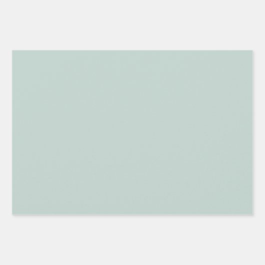 Elegant Pastel Gift Wrapping Paper  (Voorkant 2)