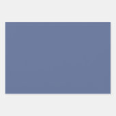 Elegant Pastel Gift Wrapping Paper  (Voorkant 2)