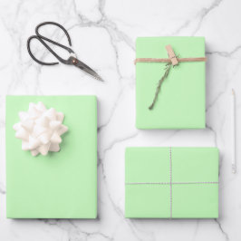 Elegant pastelgroen Minimalistisch en chique Inpakpapier Vel
