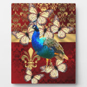 Elegant pauw en rode vogel fotoplaat (Voorkant)