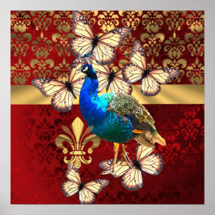 Elegant  pauw en rode vogel poster