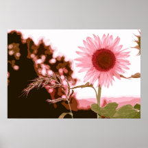 Elegant Peach Sunflower Artwork | POSTER