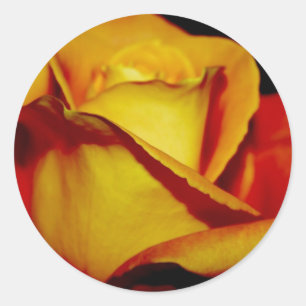 Elegant Peach Wedding Envelope zegels en stickers