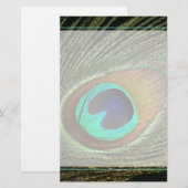 Elegant Peacock Feather Briefpapier (Voorkant / Achterkant)