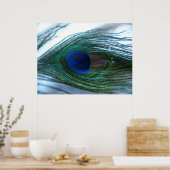 Elegant Peacock Feather Poster (Keuken)