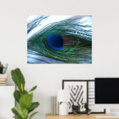 Elegant Peacock Feather Poster (Thuiskantoor)