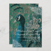 Elegant  Peacock Lace Wedding Invitations Kaart (Voorkant / Achterkant)