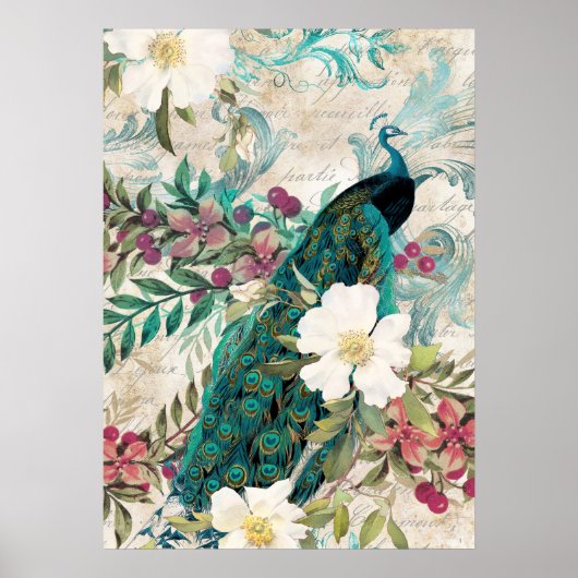 Elegant Peacock Poster (Voorkant)