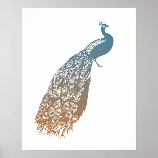 Elegant Peacock Poster (Voorkant)