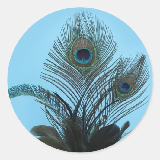 Elegant Peacock Sticker (turquoise) (Voorkant)