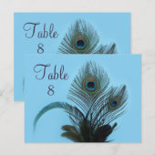 Elegant Peacock Table Number (turquoise) Briefkaart (Voorkant / Achterkant)