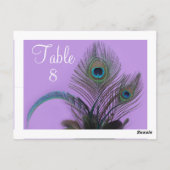 Elegant Peacock Table Number - witte grens Briefkaart (Achterkant)