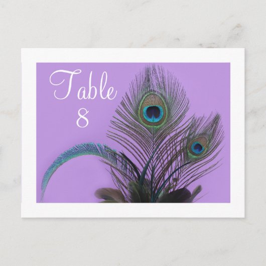 Elegant Peacock Table Number - witte grens Briefkaart (Voorkant)