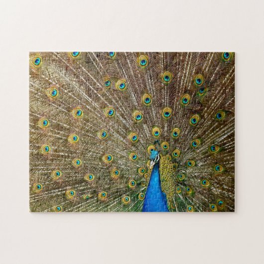 Elegant Peacock Tail Feathers Legpuzzel (Horizontaal)