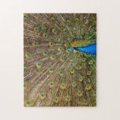 Elegant Peacock Tail Feathers Legpuzzel (Verticaal)