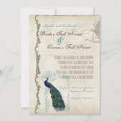 Elegant Peacock Tail Feathers Script Kaart (Achterkant)