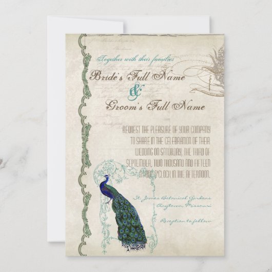 Elegant Peacock Tail Feathers Script Kaart (Achterkant)