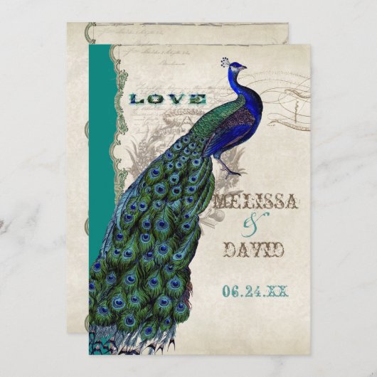 Elegant Peacock Tail Feathers Script Kaart (Voorkant / Achterkant)