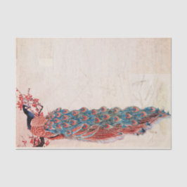 Elegant Peacock Tissuepapier