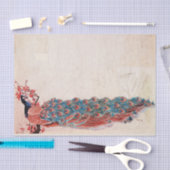 Elegant Peacock Tissuepapier (Craft)