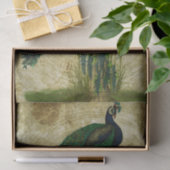 Elegant Peacock Tissuepapier (Geschenk)