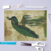 Elegant Peacock Tissuepapier (Craft)