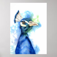 Elegant Peacock Waterverf schilderen